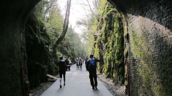 Mounvaud Lodge Stradbally  外观 照片